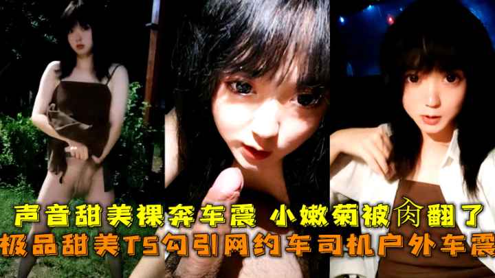 极品甜美TS勾引网约车司机户外车震，声音甜美裸奔车震小嫩菊被肏翻了-精品力荐